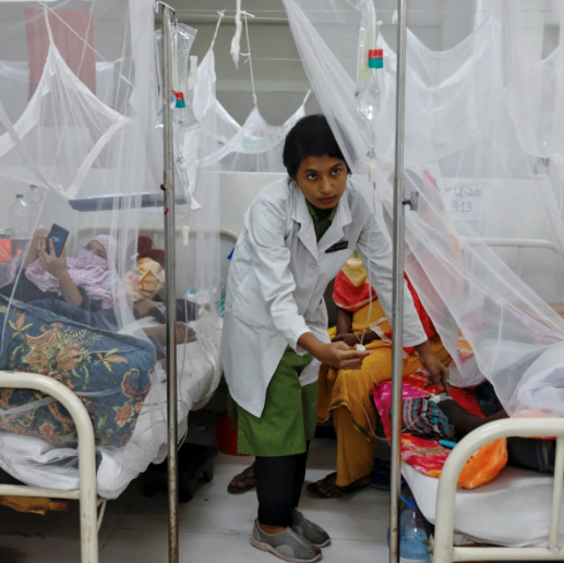 বাংলাদেশে ডেঙ্গু হেমোরেজিক ফিভার