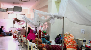 Read more about the article বাংলাদেশে ডেঙ্গু হেমোরেজিক ফিভার: বর্তমান অবস্থা, ২০২৩ সালের প্রাদুর্ভাব ও প্রতিরোধের উপায়