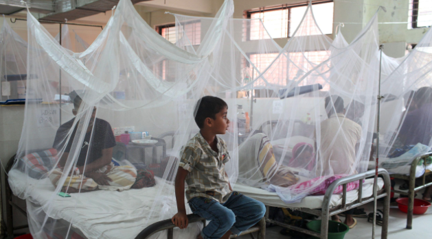 বাংলাদেশে ডেঙ্গু হেমোরেজিক ফিভার